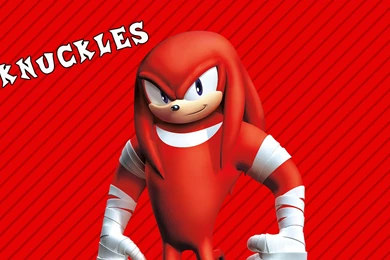 29 Knuckles The Echidna HD Wallpapers