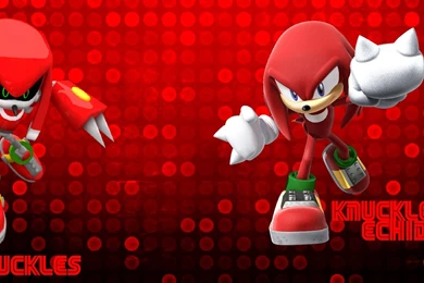 Knuckles The Echidna Favourites By Knuxamyloverfan On DeviantArt