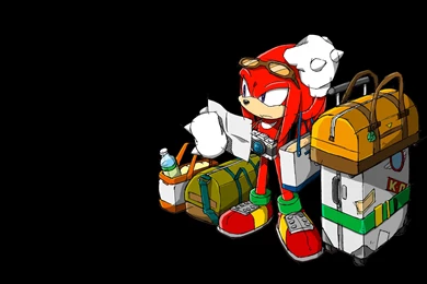 Knuckles The Echidna By SakuraHaruno1315 On DeviantArt