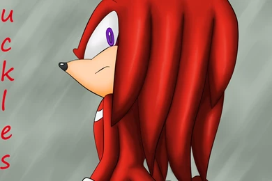 Knuckles The Echidna   A By Destro2k On DeviantArt