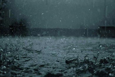 Rainy Nature HD Wallpapers ~ Toptenpack.com