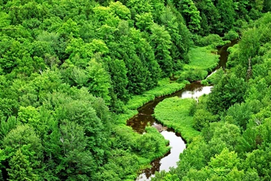 Awesome World Beauty Nature Inspirations ~ Artwood: Art Of ...