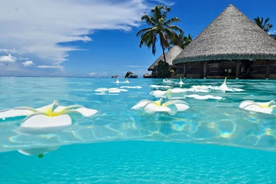 Most Beautiful Beaches In The World Wallpapers 13967 Wallpapers ...