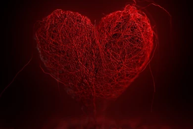 Valentine Wallpapers   Valentine Wallpapers