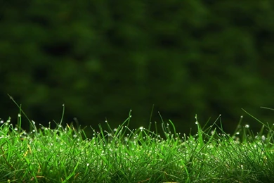 Wallpapers Enjoy Our Website Hd Services At Www Pics Efreez Com ...