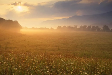 HD Nature Wallpapers 10 – HdCoolWallpapers.Com