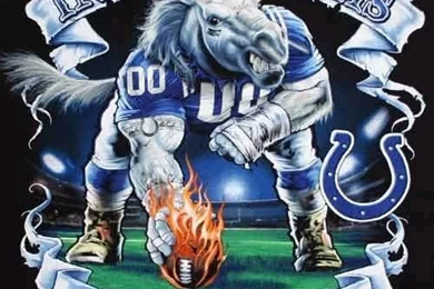 Colts Wallpapers 2   Colts Picture