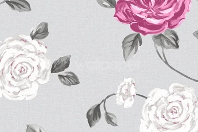 Grey And Pink Wallpapers   Widescreen HD Wallpapers