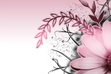 Pink & Grey >> HD Wallpaper, Get It Now!