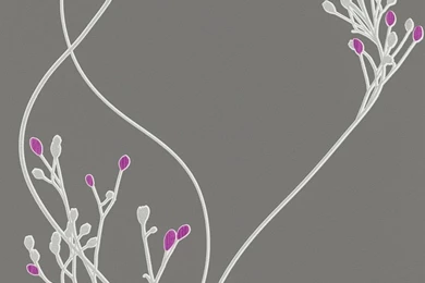 Erismann Myself Non woven Wallpapers 6861 09 686109 Floral Grey ...