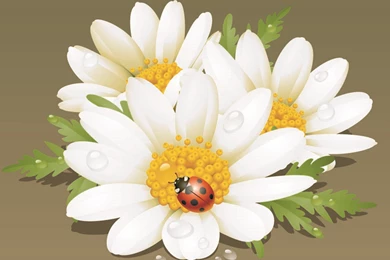 Beautiful Flowers Backgrounds 04 Vector Free Vector / 4Vector