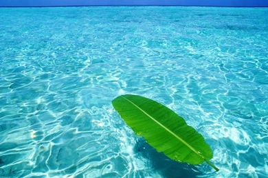 Ocean Blue Wallpapers