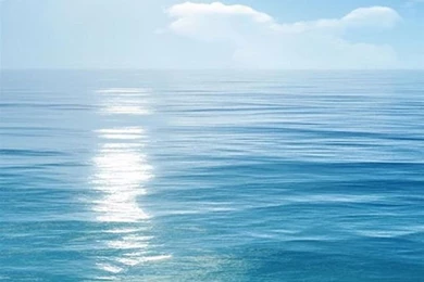 65 NATURAL IPHONE WALLPAPERS FOR THE NATURE LOVERS