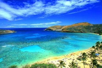 Wallpaper Islands Ocean Beaches Haw.jpg Photo By Lainey_53 ...