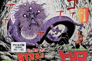 6 Toriko HD Wallpapers