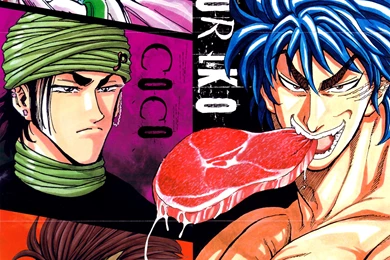 Image   Gourmet Hunting Book Wallpaper.jpg   Toriko Wiki   Wikia