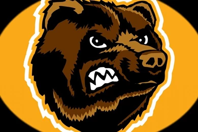 Boston Bruins Wallpaper Backgrounds