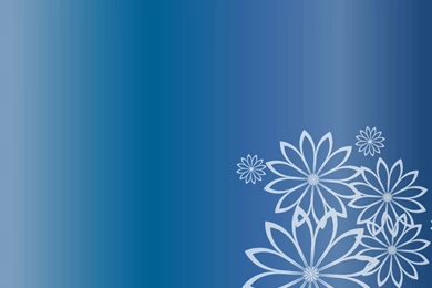 Wallpapers Etnies Related Searches For Powerpoint Themes 1024x768 ...