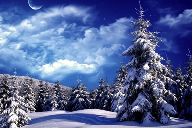 Incredible Wallpapers   Wallpapers Cave