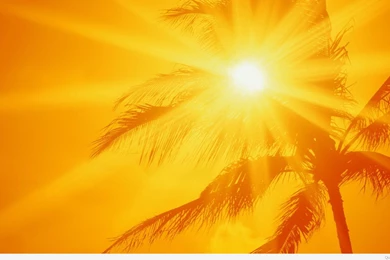 Nature Wallpaper: Summer Tumblr Backgrounds Wallpapers Wallpapers HD ...