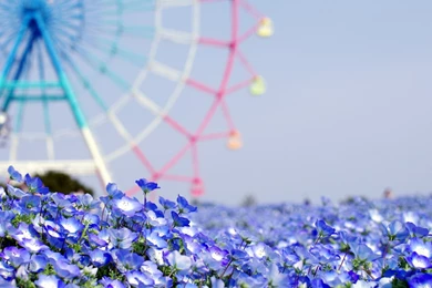 Art Wallpaper: Flower Tumblr Desktop Backgrounds Wallpapers ...