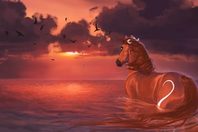 Red Horse, Picture Wallpapers And Images   Wallpapers, Pictures ...