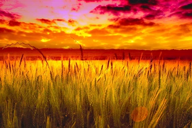 Nature Sunset HD Wallpapers