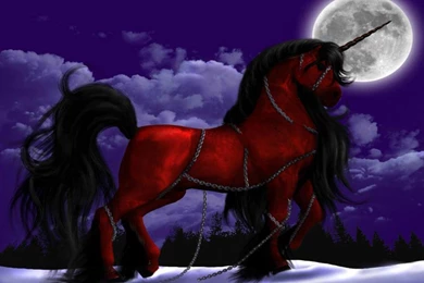 RED CHAINED HORSE WALLPAPER   (