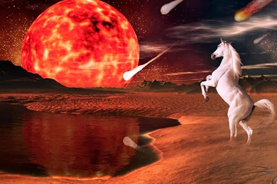 55 Most Dashing HD Horse Wallpapers   Over The Top Mag