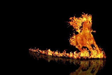 Fire Horses