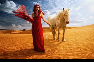 WOMAN AND HORSE WALLPAPER   (