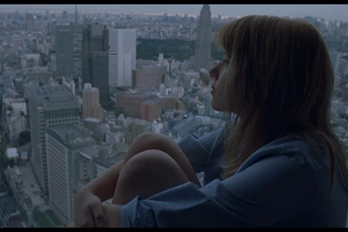 Lost In Translation Wallpapers HD Download