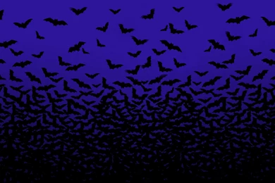 DualMonitorBackground.com » Dual Screen Wallpapers