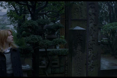 Lost In Translation Computer Wallpapers, Desktop Backgrounds ...