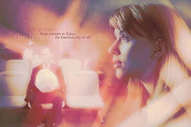 Lost In Translation   Lost In Translation Wallpapers (1041790)   Fanpop