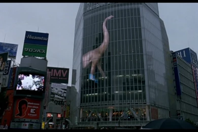 Cinematography: Lost In Translation (2003)