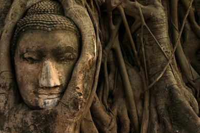 Budda Wallpapers   Wallpapers Cave