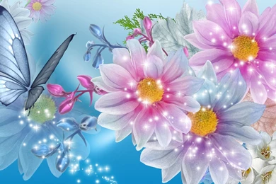 Blue And Pink Flower Wallpapers   Wallpapers Zone