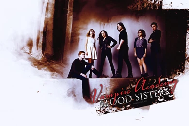 VA Blood Sisters   Vampire Academy Wallpapers (36347597)   Fanpop