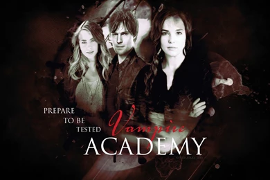 Prepare To Be Tested   The Vampire Academy Blood Sisters Wallpapers ...