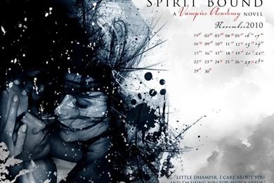 Vampire Academy   Vampire Academy Wallpapers (26347960)   Fanpop