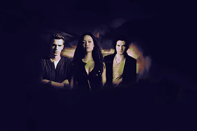 Adrian, Rose, Dimitri   Vampire Academy Wallpapers (27973180)   Fanpop