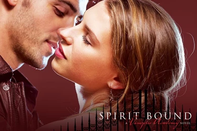 Spirit Bound   Vampire Academy Wallpapers (12365872)   Fanpop