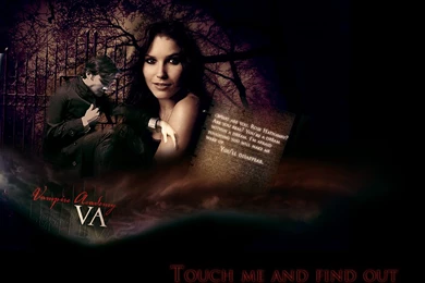 Touch Me And Find Out   Vampire Academy Wallpapers (27973120)   Fanpop