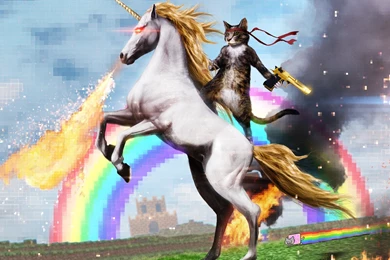 Wtf Wallpapers   Album On Imgur