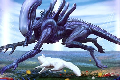 Wtf Artwork Alien Wallpapers