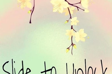 Wallpapers For Lock Screen   Image