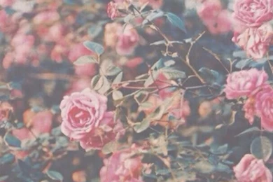 Lock Screen Wallpapers On Pinterest