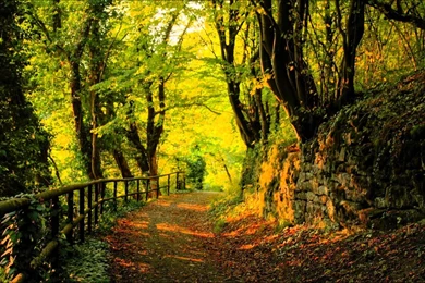 Relaxing Music For Self Esteem