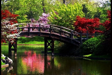 Hd wallpapers beautiful scenery wallpaper desktop new autumn ...